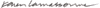 the artist's signature